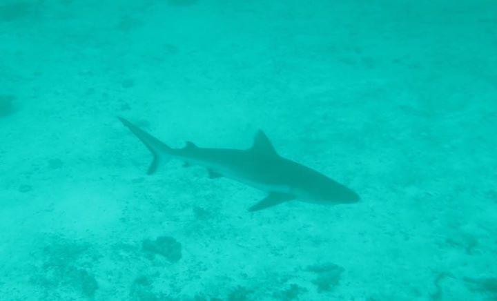 Summer Shade Maldives Dharavandhoo Esterno foto